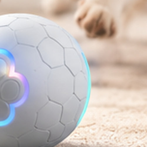 Smart interactive pet ball with LED light